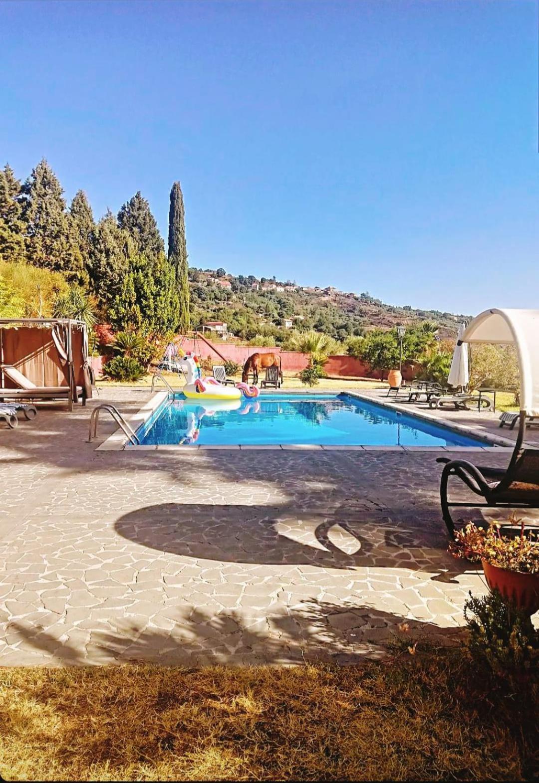 Villa Alessio - Case Vacanza Con Piscina Sull'Etna Puntalazzo Eksteriør bilde